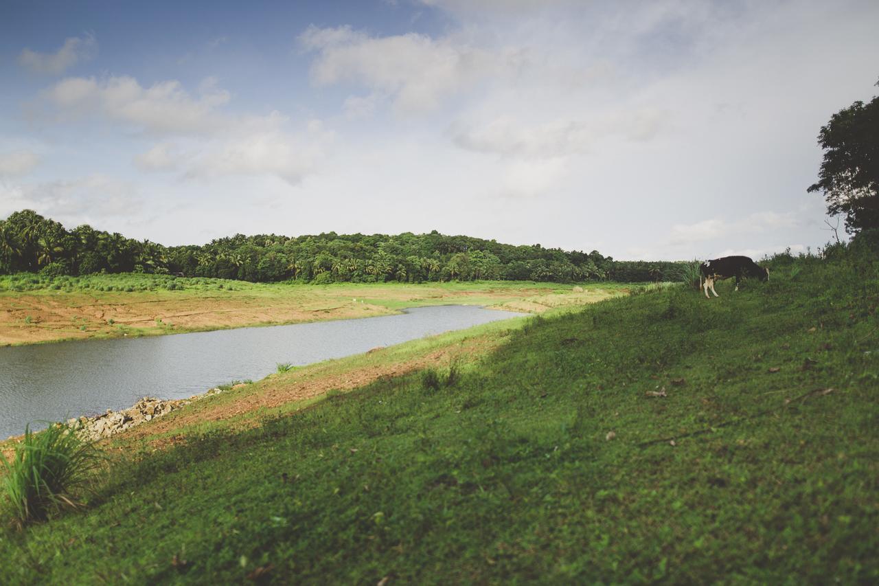Riverine Springs Wadakkanchery Экстерьер фото